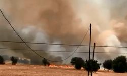 Burdur'da iki noktadaki yangında 1000 dönüm arazi yandı