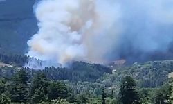 Karaman'daki orman yangını kontrol altına alındı