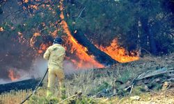 Çanakkale Valiliği'nden sıcaklık ve orman yangını uyarısı