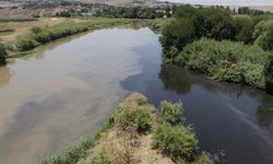 Diyarbakır'da su seviyesi yükselen Dicle Nehri kıyısında mahsur kalan 4 kişi kurtarıldı
