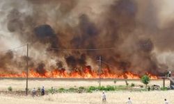 İçişleri Bakan Yardımcısı Karaloğlu, Diyarbakır'da anız yangınına ilişkin konuştu