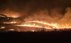 Şırnak'ta 7 köyü etkileyen anız yangını, 12 saatte kontrol altında