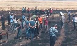 Diyarbakır'ın 2 ilçesinde 200 dönüm ekili buğday ve üzüm bağı yandı