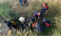 Diyarbakır’da tarla dönüşü traktör gölete düştü: Sürücü öldü