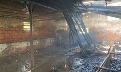 Düzce'de yanan ahırda 3 büyükbaş öldü