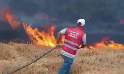 Edirne'de anız yangını, ormana da sıçradı; 56 dekarlık alan zarar gördü