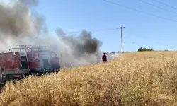 Edirne'de 20 dönüm buğday ekili alan yandı
