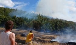 Edirne Keşan’da anız yangını ormana sıçradı