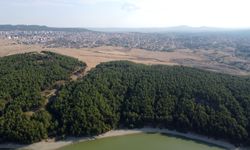 Edirne'de ormanlara girişler 15 Ekim'e kadar yasaklandı