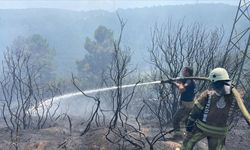 İzmir'deki orman yangınları devam ediyor: Günün ilk ışıklarıyla müdahale yeniden başladı