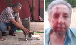 İstanbul'da sokak hayvanlarını besleyen kişi darbedildi
