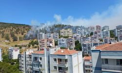 İzmir'de orman yangını: Müdahale sürüyor