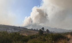 İzmir'de makilik alandaki yangın: 2 kişi yakalandı