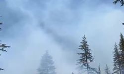Karaman Ermenek'te orman yangını