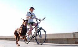 İzmir'de köpekli koşu ve bisikletli köpekli koşu düzenlendi