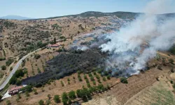 Kula'da maki yangını, alevler tarım arazisine de sıçradı