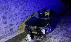 Kütahya'da yola çıkan ata çarpan otomobildeki 1 kişi öldü, 2 kişi yaralandı