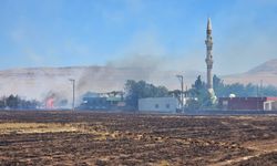 Mardin'de 5 ilçede başlayan yangınlar yerleşim yerlerine doğru ilerliyor