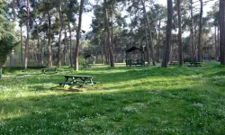 Mersin’de aşırı sıcakta 'ateşsiz piknik' önerisi