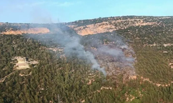 Kastamonu'da ormanlık alanda yangın: Müdahale sürüyor