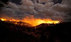 ABD'nin New Mexico eyaletinde dün başlayan orman yangınları nedeniyle OHAL ilan edildi