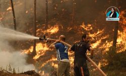 Sıcaklıklarla birlikte orman yangınları başladı: Yangınları önlemek için neler yapılmalı?