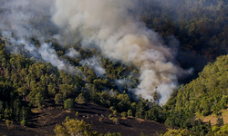 Yangın riski nedeniyle 39 ilde ormanlara giriş yasaklandı