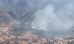 MSB: PKK'lı teröristler Irak'ın kuzeyinde saklanmak için ormanları ateşe veriyor
