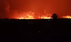 Şanlıurfa’da TİGEM arazisinde yangın