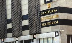 Şanlıurfa Belediyesi'nden 'kuduz' açıklaması