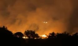 Seferihisar'da çıkan orman yangını 3 saatte söndürüldü