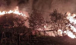 Sinop'taki yangında 3 ev ile 2 ambar yandı