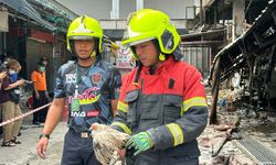 Tayland’da evcil hayvan pazarında yangın: Binlerce hayvan telef oldu