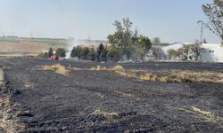 Tekirdağ'da 20 dekar buğday ekili alan yandı