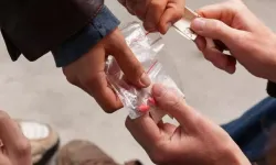 Samsun'da piyasa değeri 3,5 milyon lira olan uyuşturucu ele geçirildi