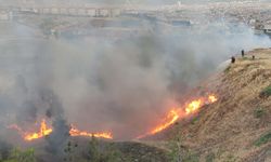 Sinop'ta çıkan orman yangınına havadan ve karadan müdahale ediliyor