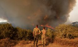Yunanistan'da son 24 saatte çıkan 52 orman yangınından 44'ü kontrol altına alındı