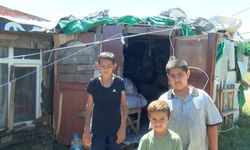 Ataşehir'de iş makinesinin ezdiği kadın öldü: 2'si engelli 6 çocuğu barakada yaşıyor