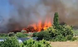 Urla'da anız yangını: Alevler, akaryakıt istasyonuna 200 metre kala kontrol altına alındı
