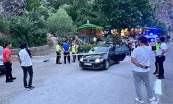 Tunceli'de dağdan kopan kaya parçası seyir halindeki otomobile isabet etti: 1 ölü, 2 yaralı