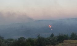 Bilecik’te arazi yangını söndürüldü