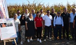 Adana'da kale cinsi mısırın tanıtımı amacıyla etkinlik düzenlendi