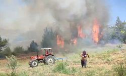 Adana'da çıkan anız yangını kontrol altına alındı