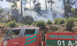 Adana'da çıkan orman yangınına müdahale ediliyor