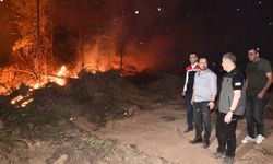 Uşak’ta iki ayrı yerde orman yangını: 11 ev tahliye edildi