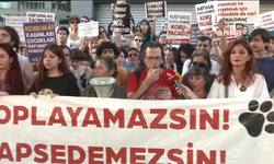 Ankara'da yaşam hakkı savunucularından ‘Yasayı geri çekin’ protestosu