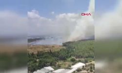 Antalya'da otluk alanda çıkan ve ormana sıçrayan yangın söndürüldü