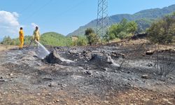 Antalya'nın Kumluca ilçesindeki orman yangını kontrol altına alındı