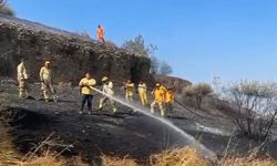 Aydın'da makilik yangını kontrol altında