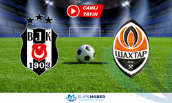 Justin TV | Beşiktaş – Shakhtar Donetsk maçı canlı izle